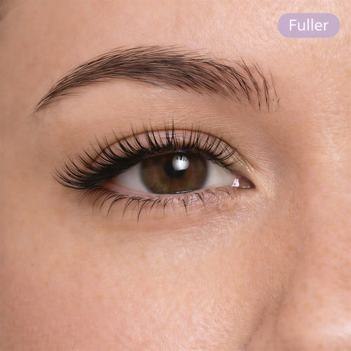 Bloomwings & Co FlutterSnap™ Soft-Magnetic Lash