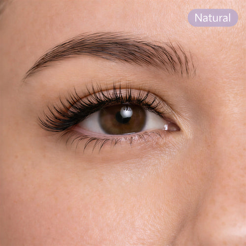 Bloomwings & Co FlutterSnap™ Soft-Magnetic Lash