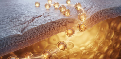 Encapsulated Retinol